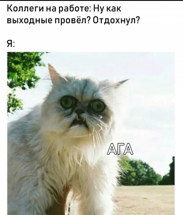 Для тех, кто так же ненавидит будни, как и я