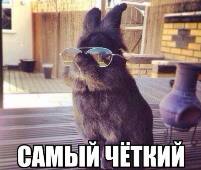 Всего понемногу. От 20.03.24