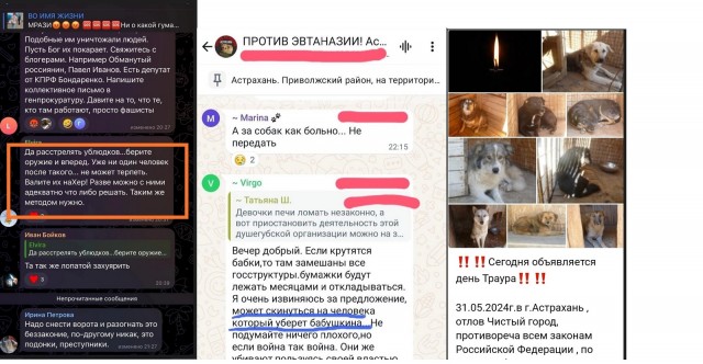 В Астрахани провели эвтаназию 38 бродячих собак, в ответ зоорадикалы проникли ночью на территорию приюта и выпустили собак из клеток