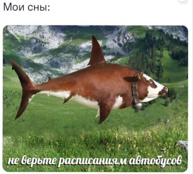 Никакие картинки