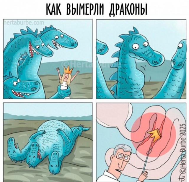 Так себе картинки 12.01.25
