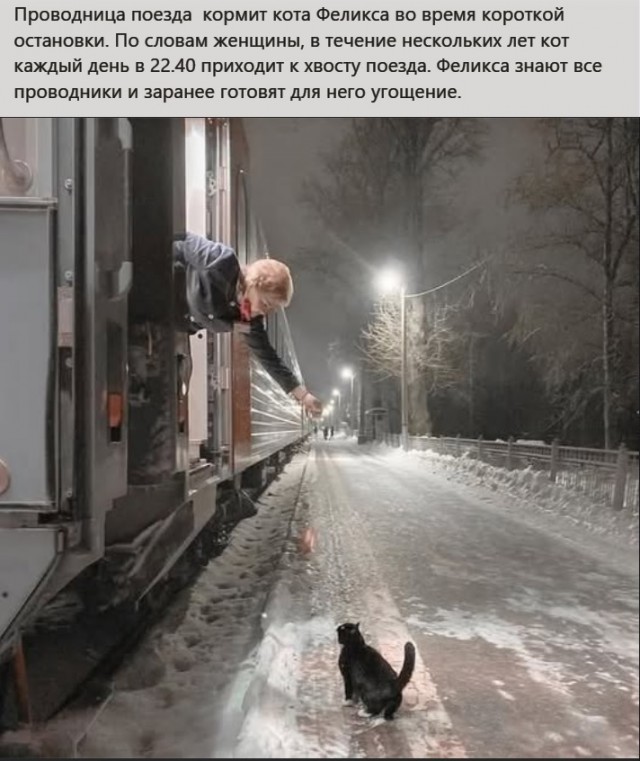 Картинки разные с надписями и без