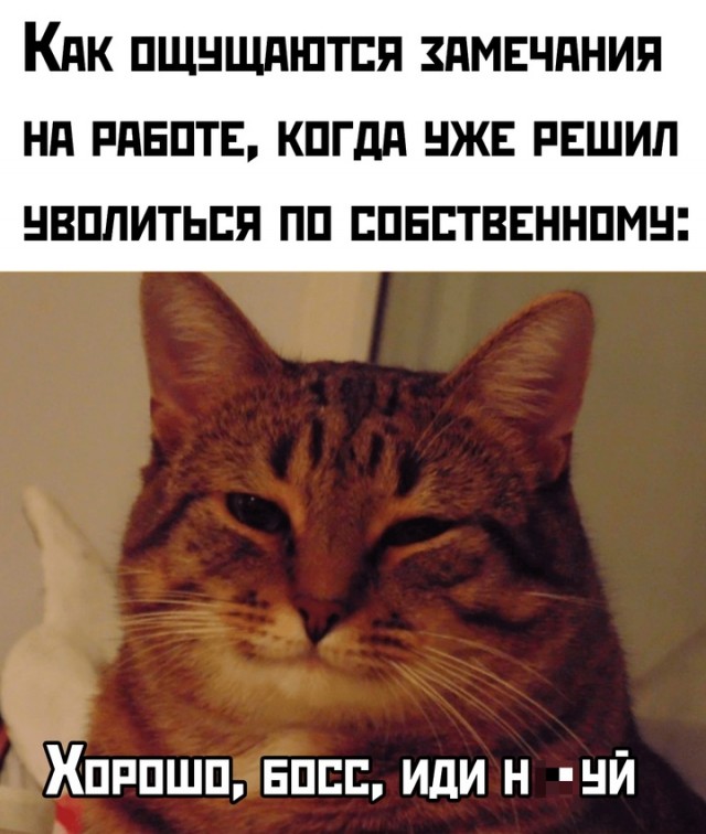 Весёлый полтишок 24.04.25