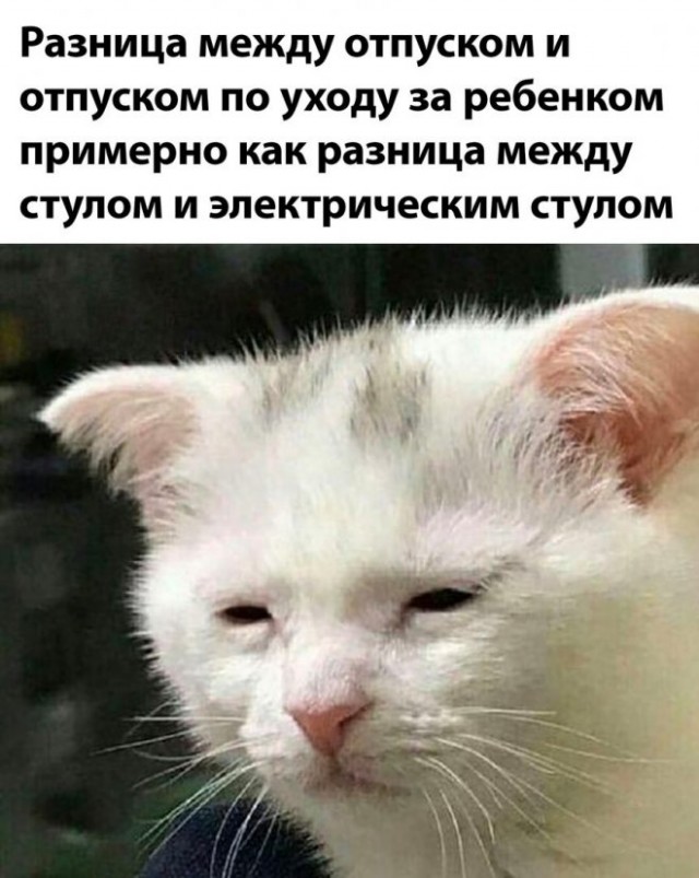 Веселые картинки в среду, практически пятницу 30.04