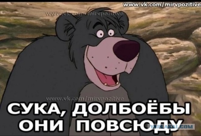 Иллюстрации