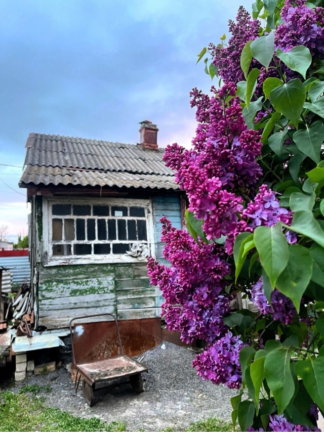 Прикольные и просто красивые картинки 08.05.2025