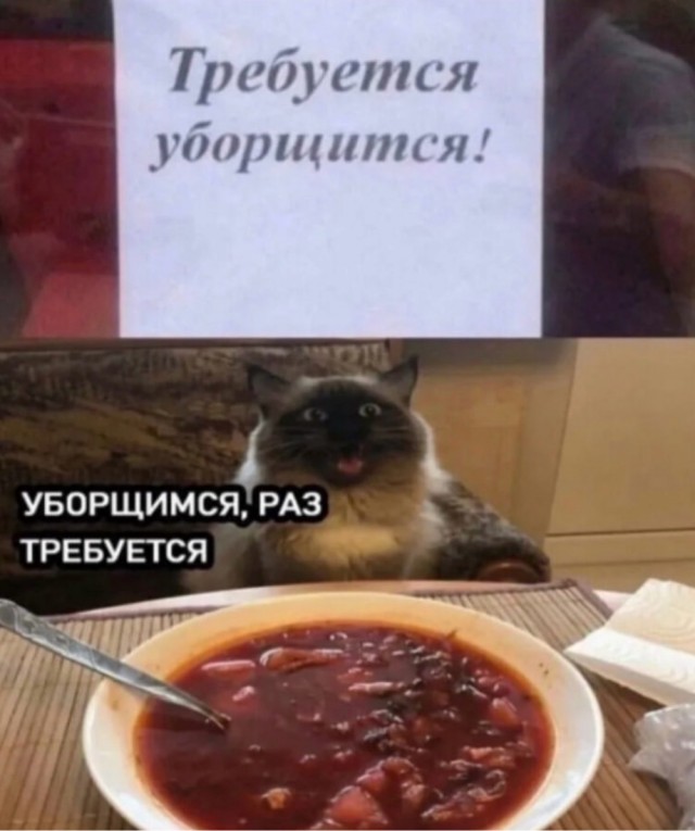 Так себе картинки 22.05.25