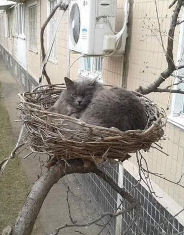 Прикольные и просто красивые картинки 10.06.2025