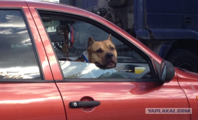 Че, какие-то проблемы?