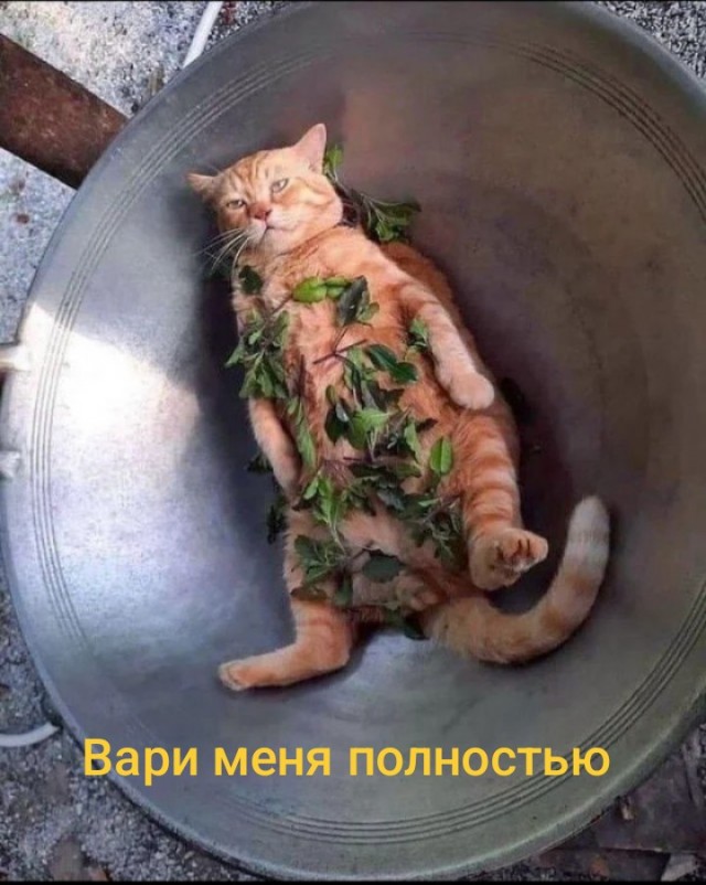 ЯПълов