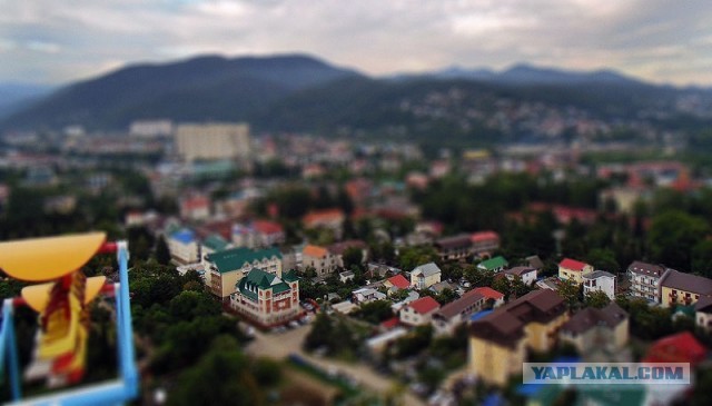 Отпуск в Сочи