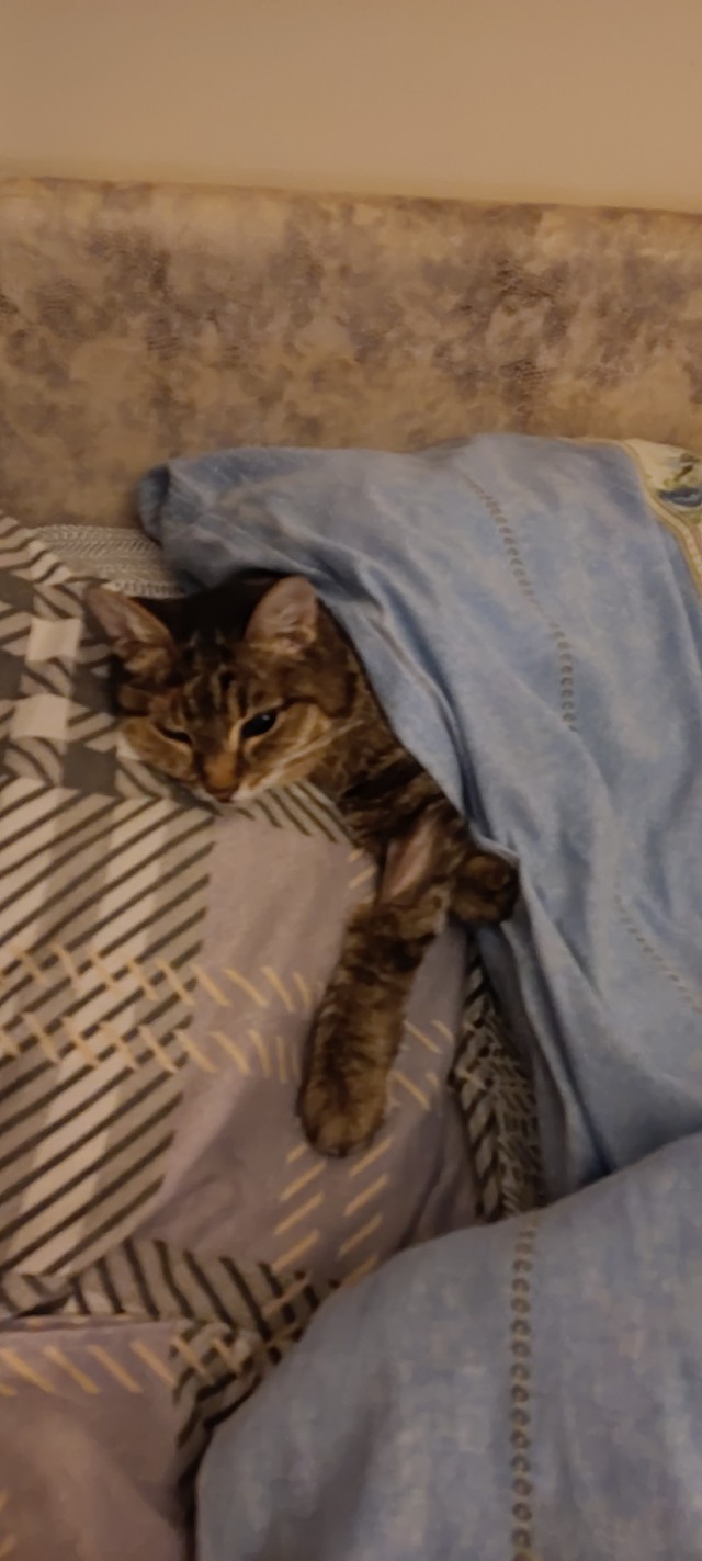 А у Даны д.р. Ей 11 лет..