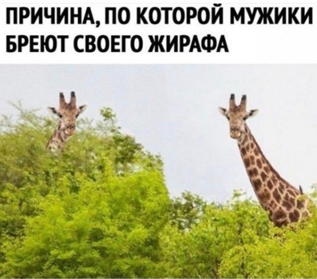 Курсы начинающего фотографа⁠⁠