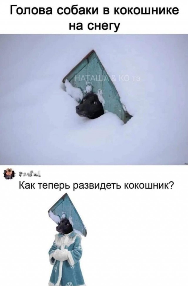 Маленькая пятница 26.11