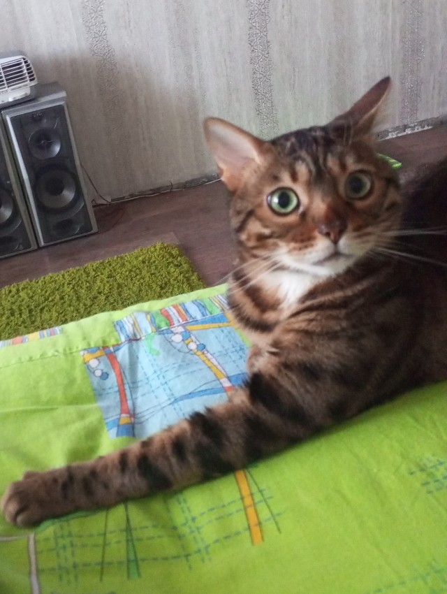 Народ