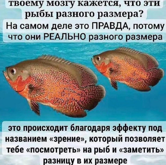 Дегидродегенерация