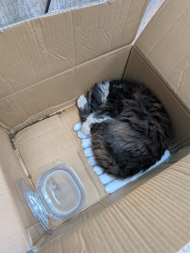 Безымянная извечная битва