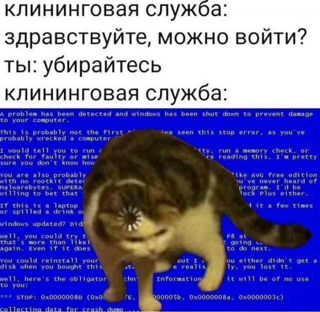 Картинки для деградации 154 (разной степени свежести)