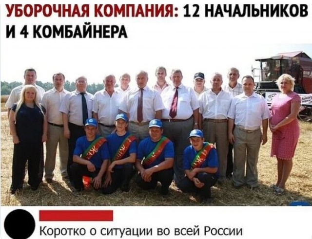 Редиска парадоксов