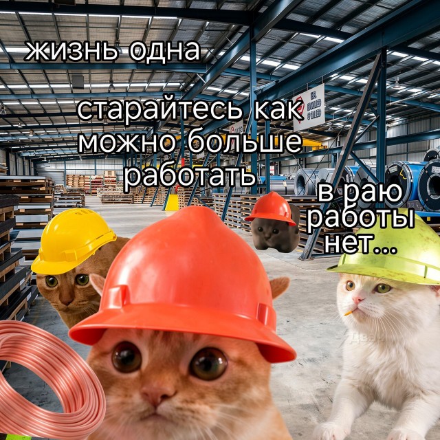 Мемы 30 штук к понедельнику