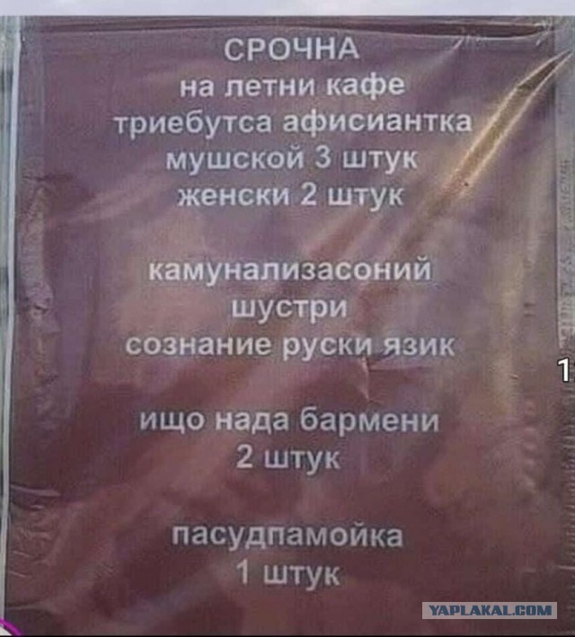 кому работу нада ?