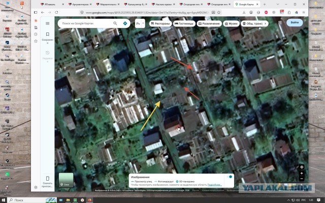 Огородная нимфа