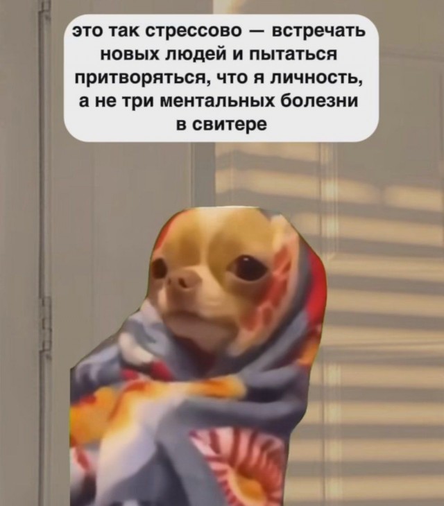 Психомемы-12