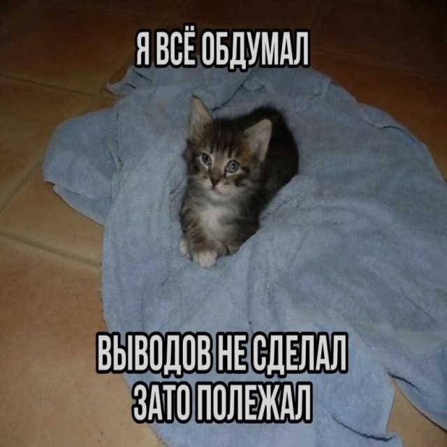 Картинки для деградации 291 (разной степени свежести)