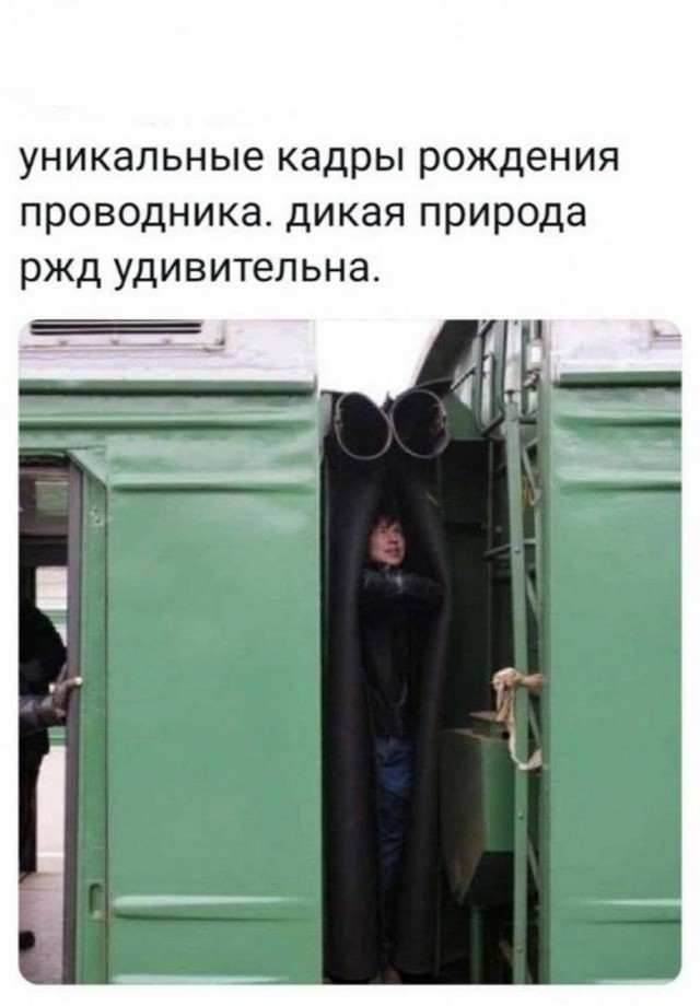 Веселые картинки в понедельник (12.10)