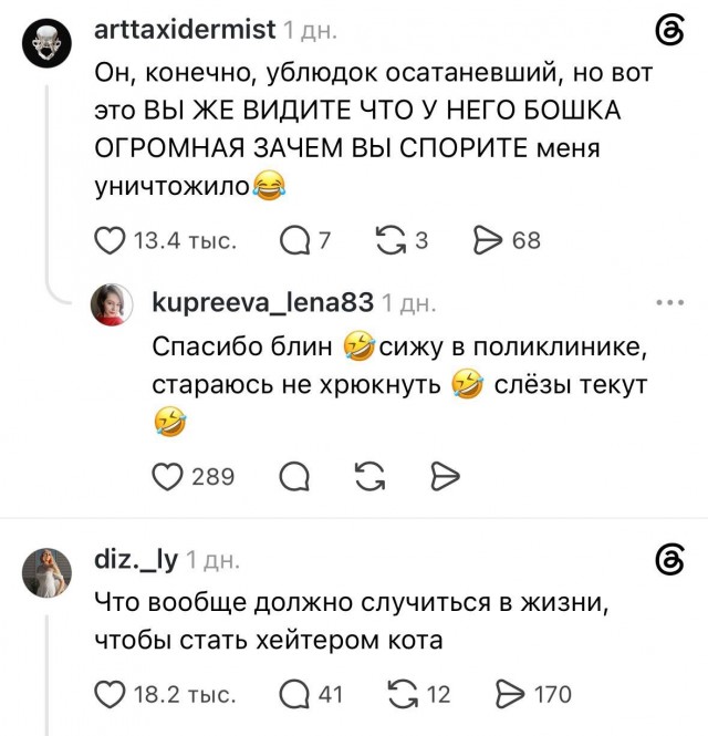 В интернете спорят из-за кота с «огромной круглой головой», который в итоге собрал армию фанатов