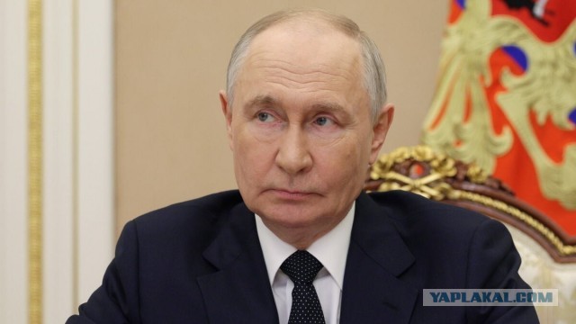 Путин поручил изменить выдачу поисковиков по запросам об абортах.
