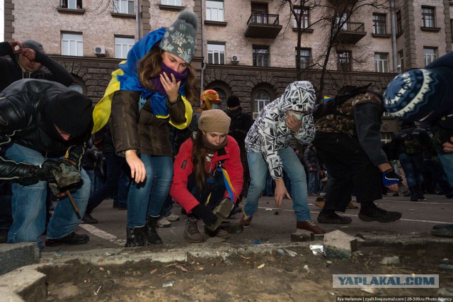 Беркут пошел на штурм