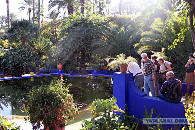 Новогодняя ночь в пустыне Сахара