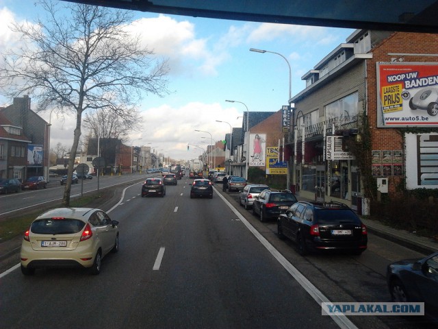 Где яблоки растут!