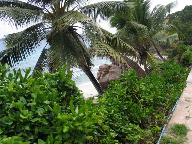 Как я съездил на Сейшелы