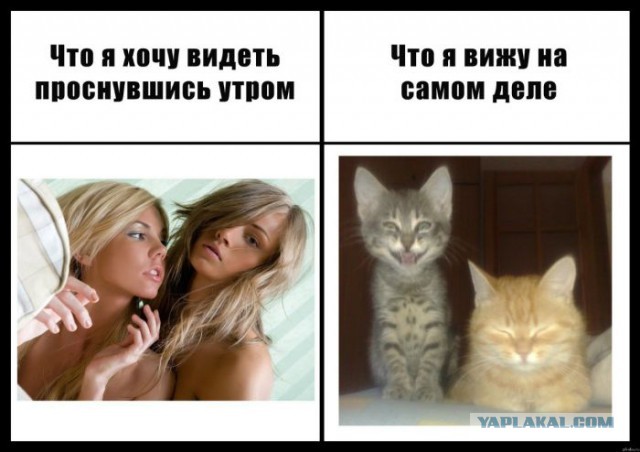Ожидания VS Реальность