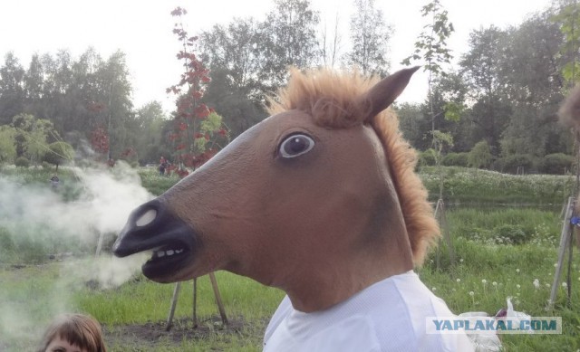 Шашлык, рецепты маринада, все про шашлык!