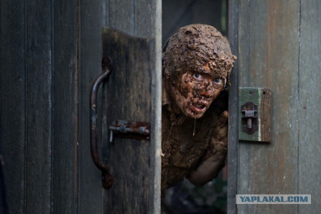 Ответ юриста