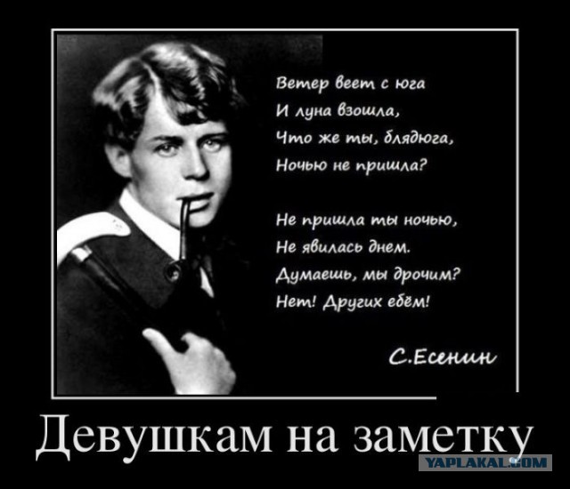 Смешное из сети #2