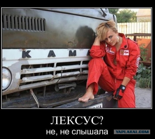 Веселые картинки
