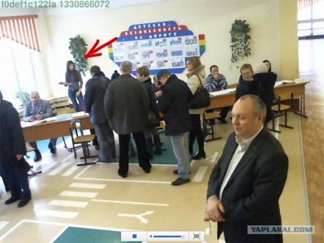Веб-камеры на избирательных участках