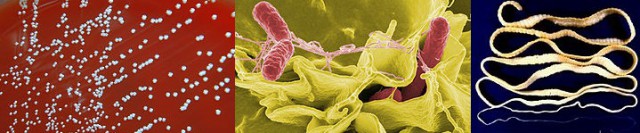 Кулинарные советы в картинках