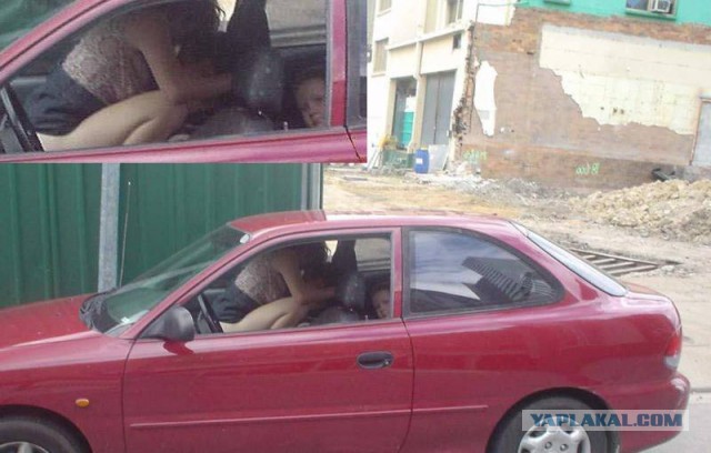 Веселости попавшиеся на сегодня