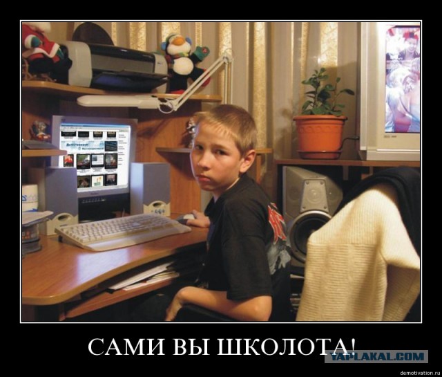Одним школьником в инете меньше