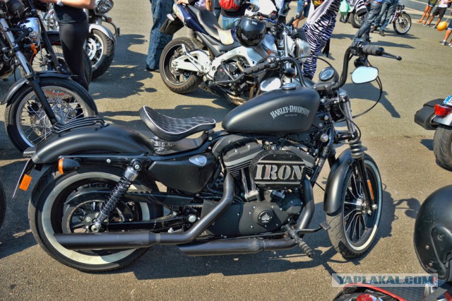 Harley Days-Петербург 2015