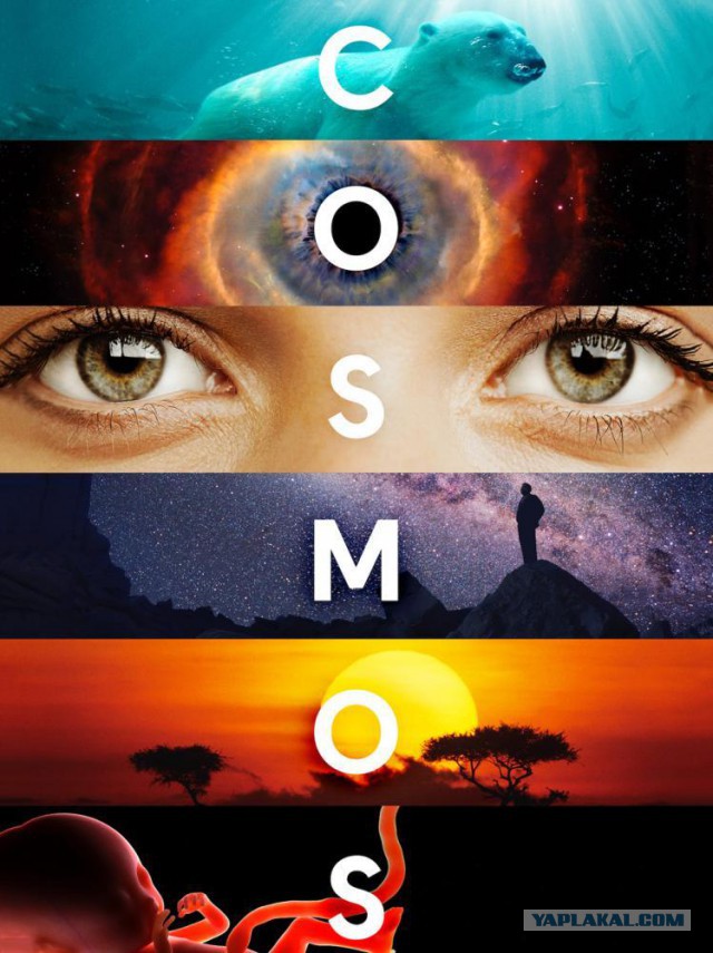 5 научно-популярных фильмов, которые стоит посмотреть