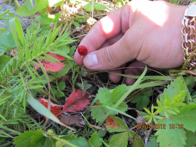 Я узнал, что у меня есть огромная семья