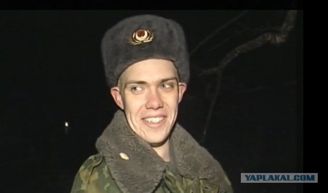 Весна пришла — коты прилетели!