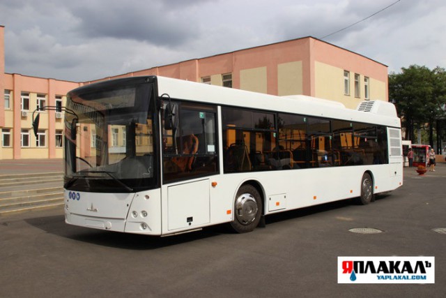 Автобусная авантюра от МАЗа, ставшая легендой