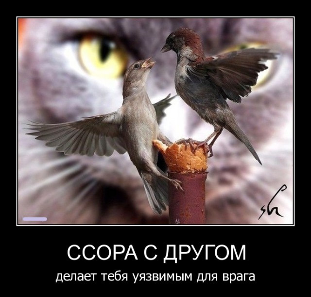 Подборка интересных и веселых картинок